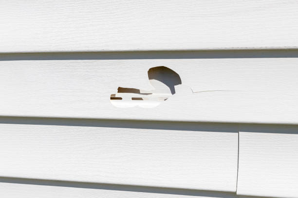 Demolition Debris Removal in Meadow Vista, CA