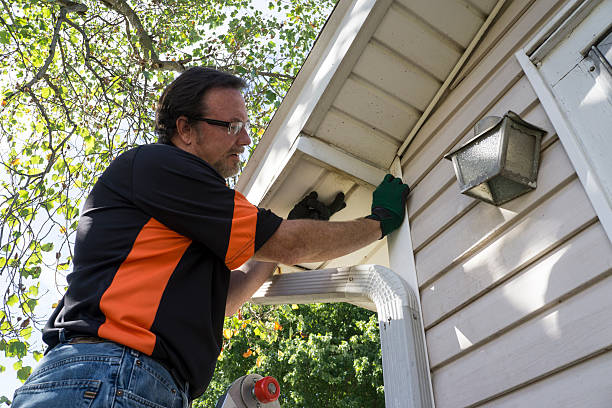  Meadow Vista, CA Junk Removal Pros